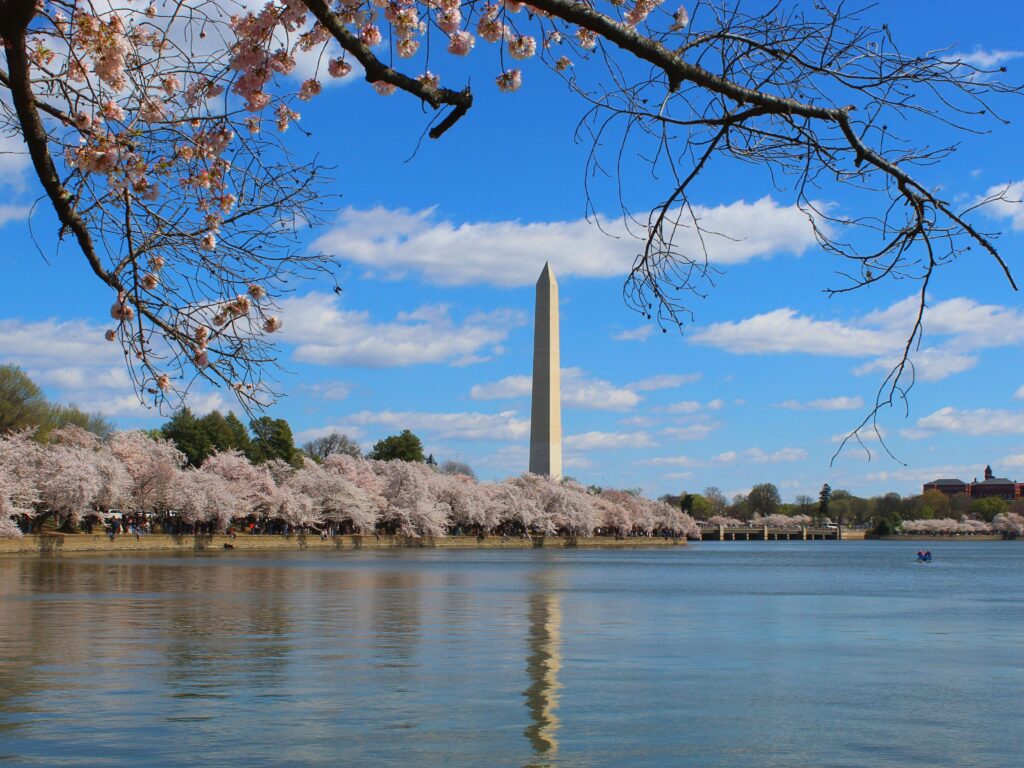 Washington D.C. – hoofdstad van Amerika